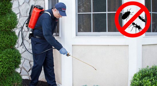 Beykoz Tahtakurusu İlaçlama böcek ilaçlama ve haşere kontrolü — ilaclama-tr.com